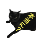 黒猫くまごろう 2（個別スタンプ：2）