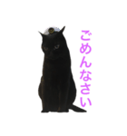 黒猫くまごろう 2（個別スタンプ：4）