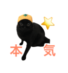 黒猫くまごろう 2（個別スタンプ：7）