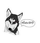 Woof Pack（個別スタンプ：1）