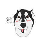 Woof Pack（個別スタンプ：2）