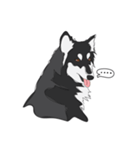 Woof Pack（個別スタンプ：3）