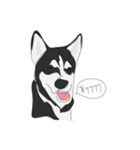 Woof Pack（個別スタンプ：4）