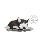 Woof Pack（個別スタンプ：5）