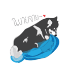 Woof Pack（個別スタンプ：6）