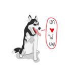 Woof Pack（個別スタンプ：7）