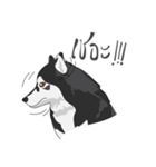 Woof Pack（個別スタンプ：8）
