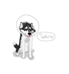 Woof Pack（個別スタンプ：9）