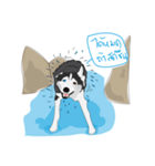 Woof Pack（個別スタンプ：10）