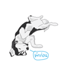 Woof Pack（個別スタンプ：11）