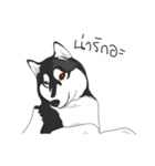 Woof Pack（個別スタンプ：15）