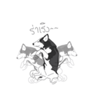 Woof Pack（個別スタンプ：16）