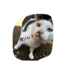 みんな家族（個別スタンプ：5）