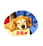 みんな家族（個別スタンプ：6）
