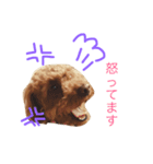 はる太くん（個別スタンプ：3）