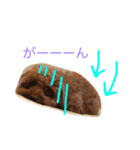 はる太くん（個別スタンプ：4）