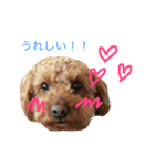 はる太くん（個別スタンプ：7）