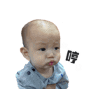 Lory＆Ryan's Family（個別スタンプ：16）