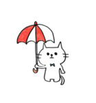 かわいいしろねこ（個別スタンプ：5）