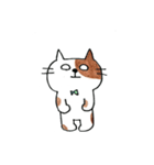 かわいいしろねこ（個別スタンプ：11）
