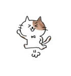 かわいいしろねこ（個別スタンプ：14）