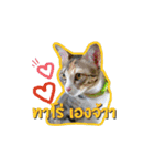 TaroThreeColor（個別スタンプ：8）