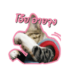 TaroThreeColor（個別スタンプ：12）