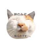 いちご嬢＆タルト氏（個別スタンプ：7）