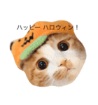 いちご嬢＆タルト氏（個別スタンプ：13）