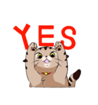 キジトラ猫ふーちゃんスタンプ（個別スタンプ：4）