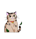 キジトラ猫ふーちゃんスタンプ（個別スタンプ：8）