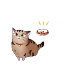キジトラ猫ふーちゃんスタンプ（個別スタンプ：9）