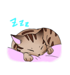キジトラ猫ふーちゃんスタンプ（個別スタンプ：16）