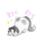 キジトラ猫ふーちゃんスタンプ（個別スタンプ：21）