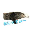ぺこ＆ぽこ（個別スタンプ：2）