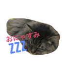 ぺこ＆ぽこ（個別スタンプ：4）