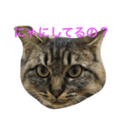 ぺこ＆ぽこ（個別スタンプ：5）