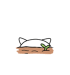 きゃわいいネコちゃんスタンプ（個別スタンプ：17）