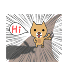 カク猫、ダク犬 (Kaku Cat and Daku Dog)（個別スタンプ：3）