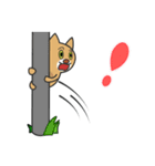 カク猫、ダク犬 (Kaku Cat and Daku Dog)（個別スタンプ：27）