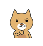 カク猫、ダク犬 (Kaku Cat and Daku Dog)（個別スタンプ：29）
