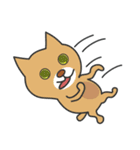 カク猫、ダク犬 (Kaku Cat and Daku Dog)（個別スタンプ：31）