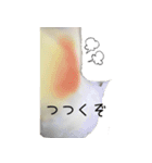 ゆるかわオカメインコの日常（個別スタンプ：9）