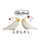 ゆるかわオカメインコの日常（個別スタンプ：10）