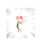 ゆるかわオカメインコの日常（個別スタンプ：15）