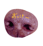 じゅんちゃん！！（個別スタンプ：4）