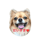モン（個別スタンプ：2）