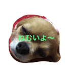 モン（個別スタンプ：5）