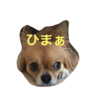 モン（個別スタンプ：6）