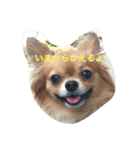 モン（個別スタンプ：8）